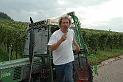 2006 Weinlese1